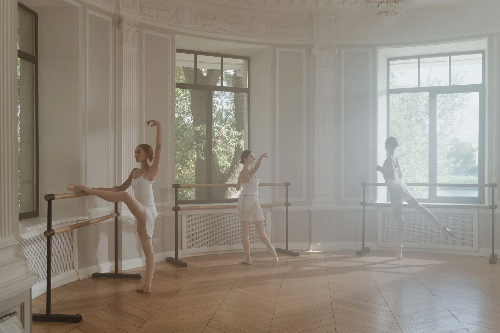 Barre studio software